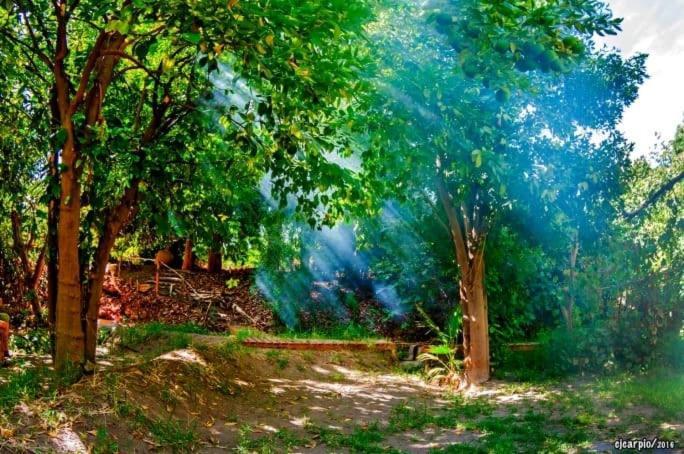 Agroturismo La Sacristia *